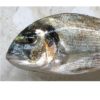 dorada-salvaje-2kg-pescadoacasa