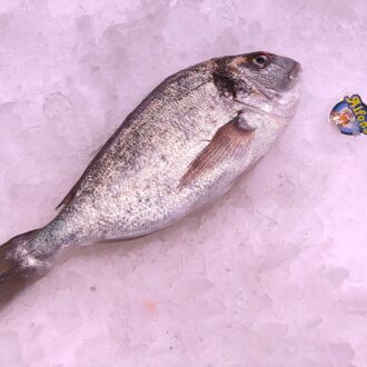 Dorada de playa fresca de 2 kg. Compra pescado salvaje online con envío refrigerado. Pescadería online Pescado a Casa.