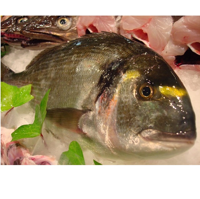dorada salvaje 2kg