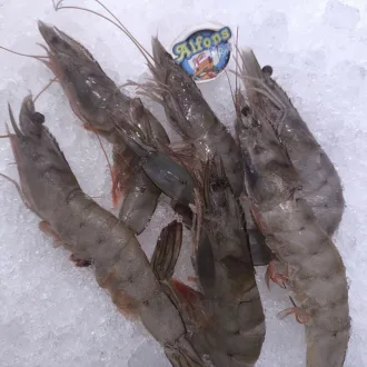 Langostino Vannamei congelado a granel. Compra online en Pescado a Casa.