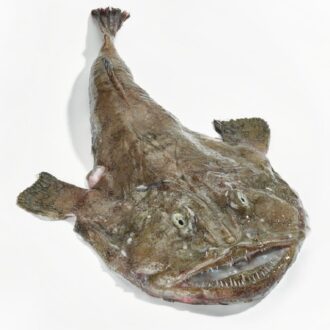 rape entero oferta 1.5 kg fresco calidad lonja