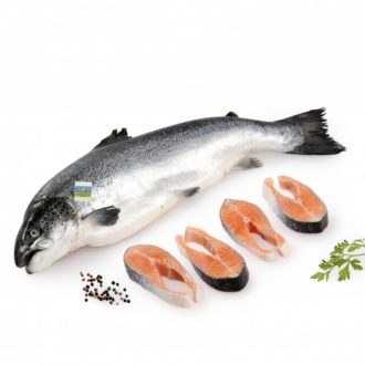 Salmon Oferta