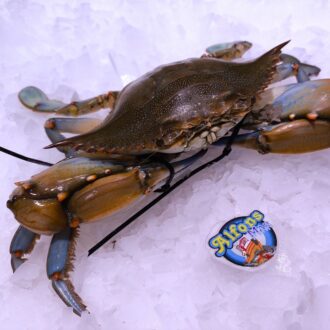 Cangrejo azul fresco. Compra marisco fresco online con envío refrigerado a domicilio. Pescadería online Pescado a Casa.