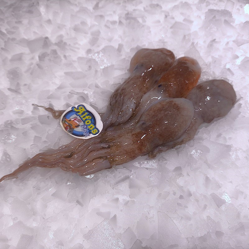 pulpo-blanco-costa-fresco-pescado-a-casa Pulpo blanco de costa fresco