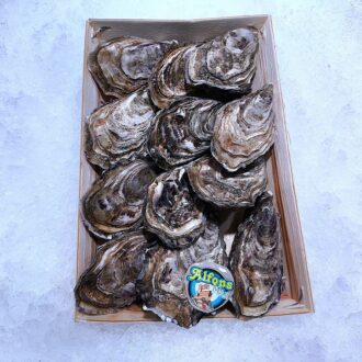 Ostras Krystale frescas. Ostra premium de sabor limpio y gran calidad. Compra online en Pescado a Casa.