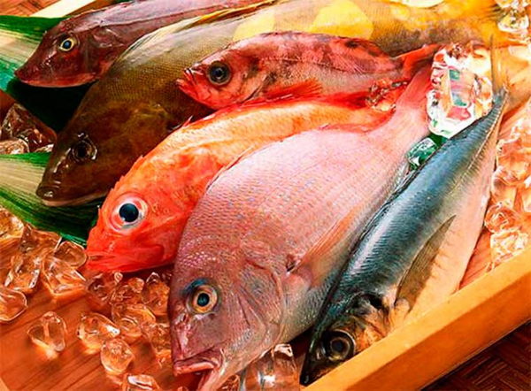 consumo de mercurio en el pescado