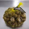 malla-de-caracoles-1-kg-bover