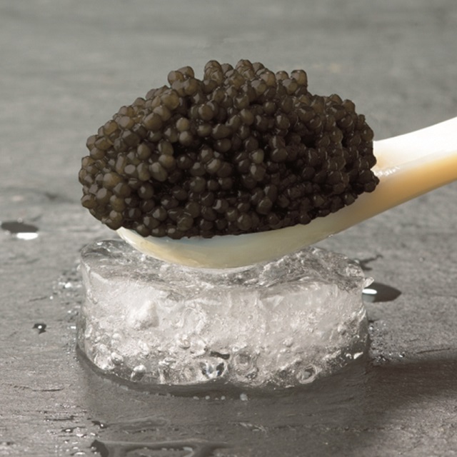 caviar baeri-pescadoacasa