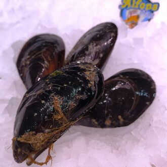 Mejillón gallego fresco. Compra mejillones frescos online con envío refrigerado a domicilio. Marisco fresco en Pescado a Casa.