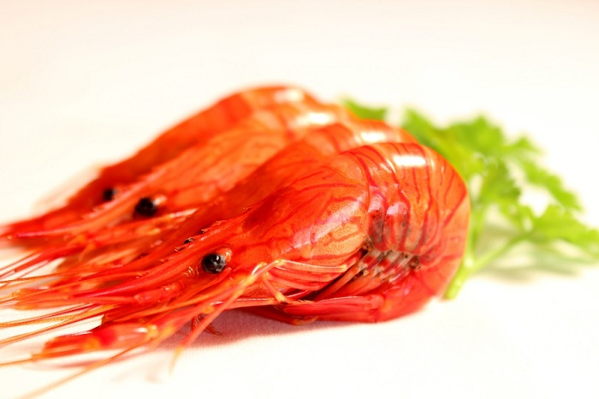 El camarón contiene antioxidantes
