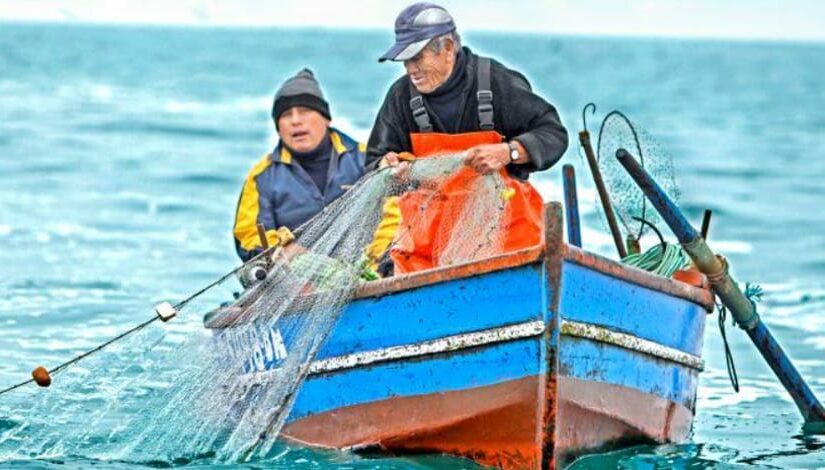 Conoce más sobre el impacto social de la pesca artesanal en las comunidades costeras