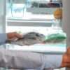 ¿Cuánto dura el pescado fresco en la nevera?