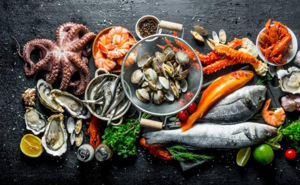 Pescado de temporada en España – Mes de Septiembre