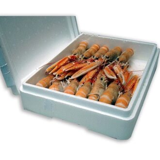 cigala00 pescaderia online