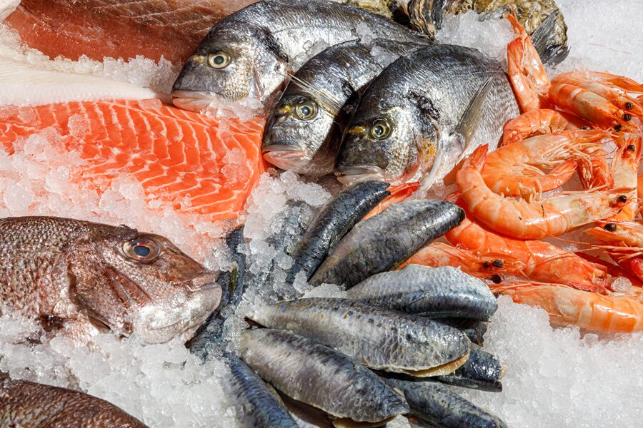 pescado fresco barcelona