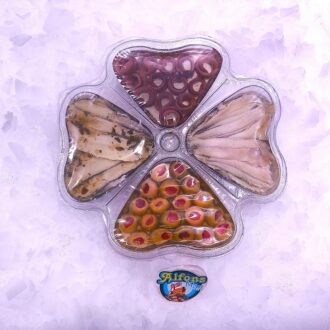 Flor del Aperitivo Especial con anchoas, boquerones en vinagre, aceitunas rellenas y surtido de especialidades marineras. Compra online en Pescado a Casa.