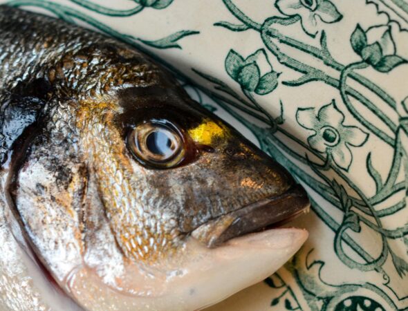 pescado-fresco